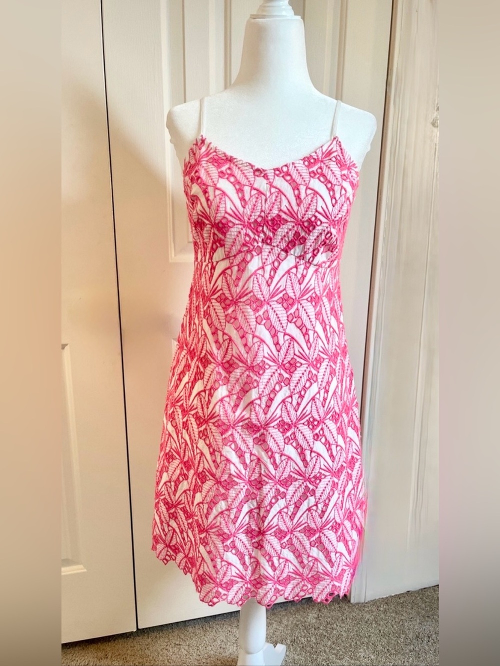 NEW Ivy & Crown white neon hot pink  lace appliqué overlay slip dress lined 8 M
